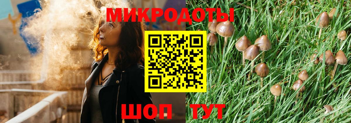 Псилоцибиновые грибы Psilocybine cubensis  Вход с VPN  Междуреченск  Псилоцибиновые грибы ЛСД 