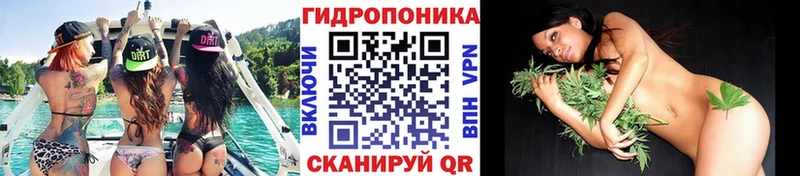 Бошки Шишки Amnesia  MEGA как зайти  Междуреченск 
